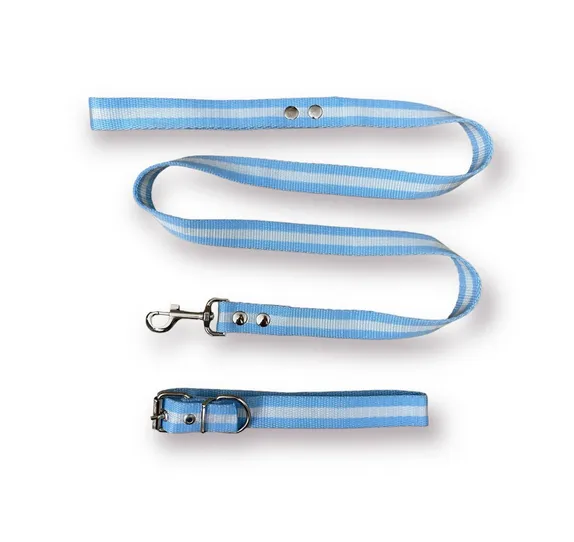 CONJUNTO COLLAR CORREA ARGENTINA