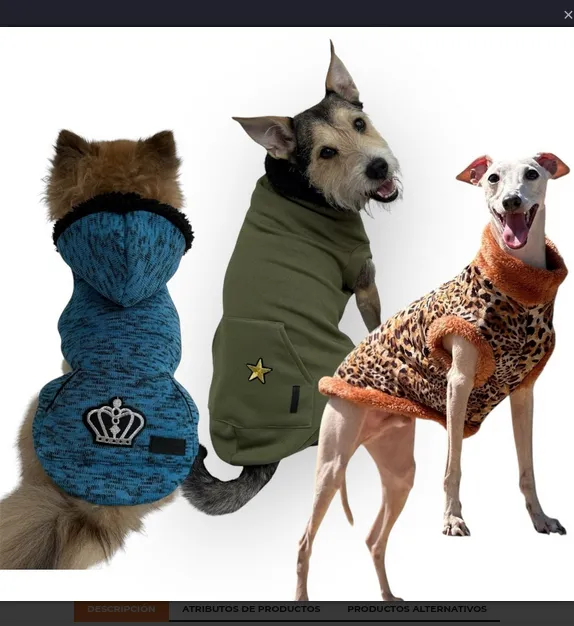 BUZO RYR IMC HW TODOS NARANJAS 28