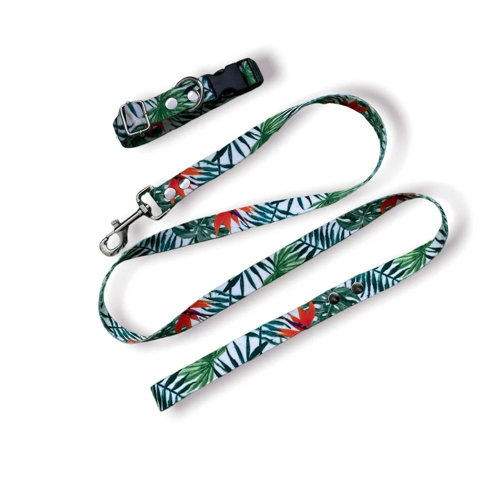 CONJUNTO COLLAR CORREA POLIESTER 20MM y 25MM