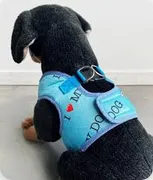 ARNES / PECHERA I Love my dog CC