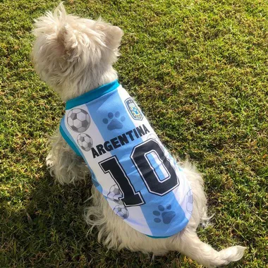 CAMISETA ARGENTINA Y CLUBES FUTBOL CANINE COUTURE (XS)
