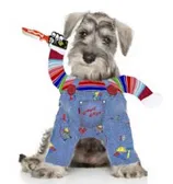 DISFRAZ HALLOWEEN CHUCKY CANINE COUTURE (S)