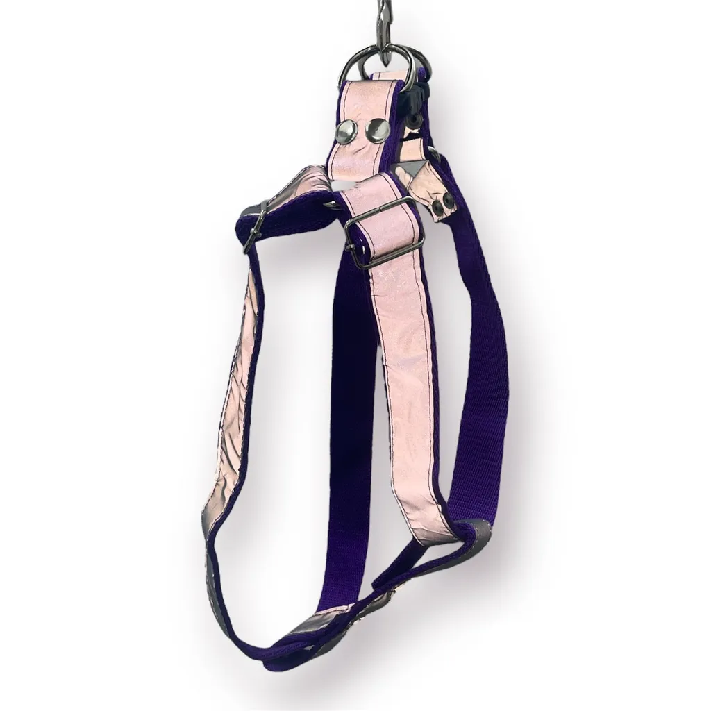 ARNES REFLECTIVO REGULABLE (1)