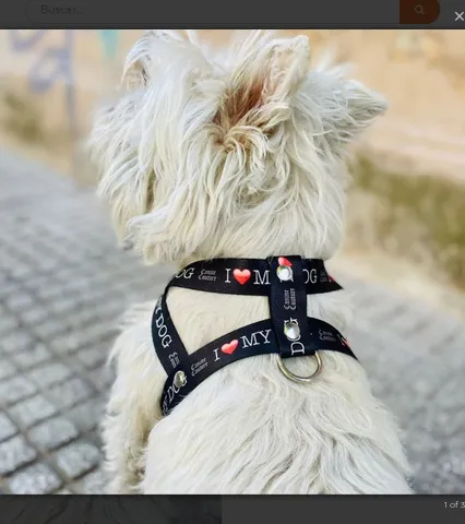 ARNES REGULABLE POLIESTER CANINE COUTURE TODOS