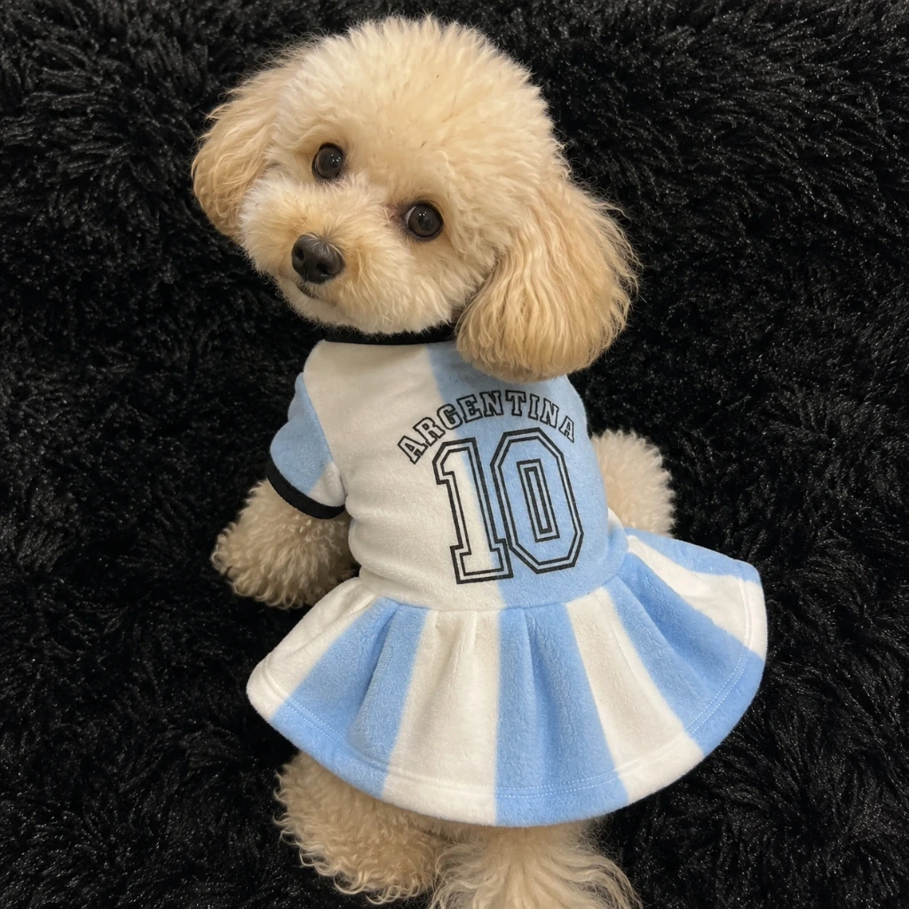 VESTIDO DE POLAR  FANTASIA MUNDIAL ARGENTINA