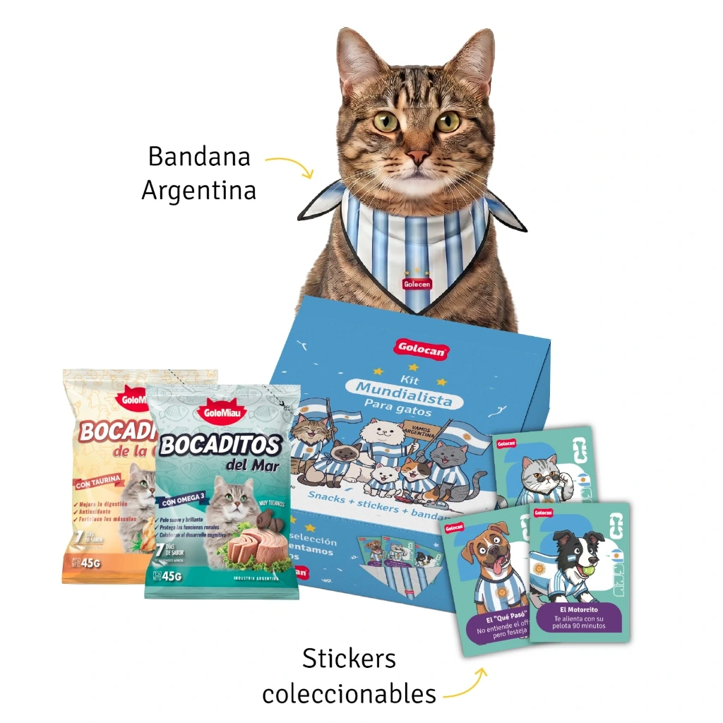 KIT MUNDIALISTA GATO GOLOCAN