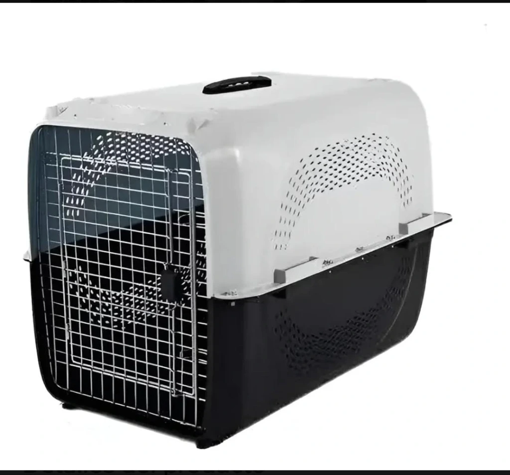 [25208] TRANSPORTADORA HP-A05 91X64X75