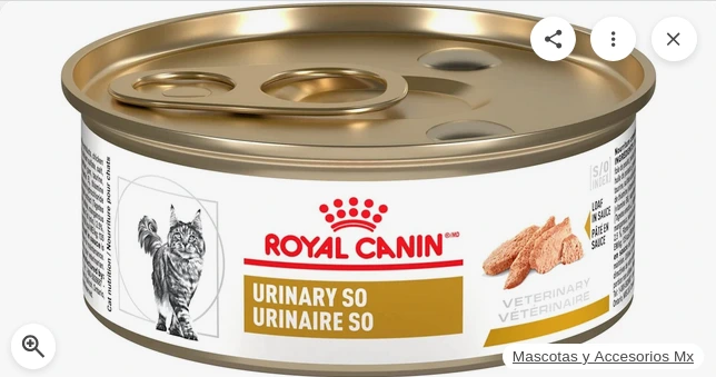 ROYAL CANIN DOG  LATA ALIMENTO HUMEDO URINARY S/O 200GR