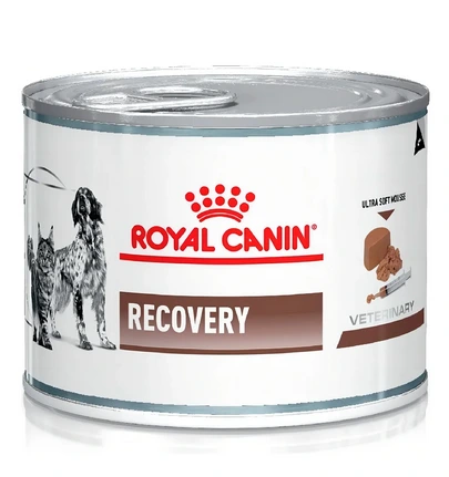 ROYAL CANIN DOG ALIMENTO HUMEDO RECOVERY 195GR PROMO 6x5
