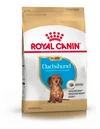 ROYAL CANIN DOG PUPPY DACHSHUND (SALCHICHA) 1KG