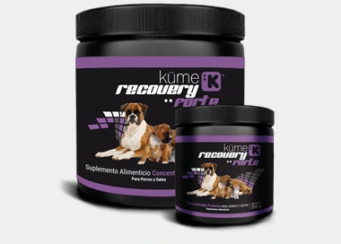 KUME RECOVERY 250GR