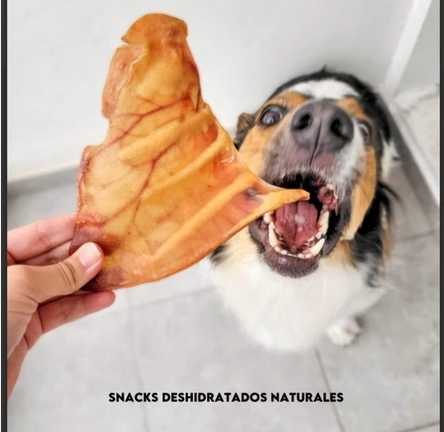 BOCADOG OREJA DE CUERO NATURALES MARRONES