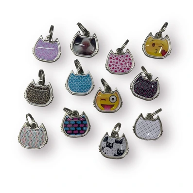 MEDALLA AUTOGRABABLE GATO BENJI