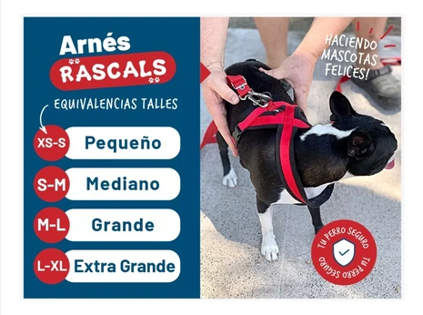 RASCALS ARNES DE REHABILITACION TALLE M 70x23CM