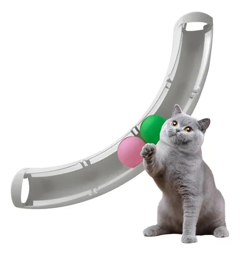 TRACK BALL JUGUETE GATO PARED/PISO