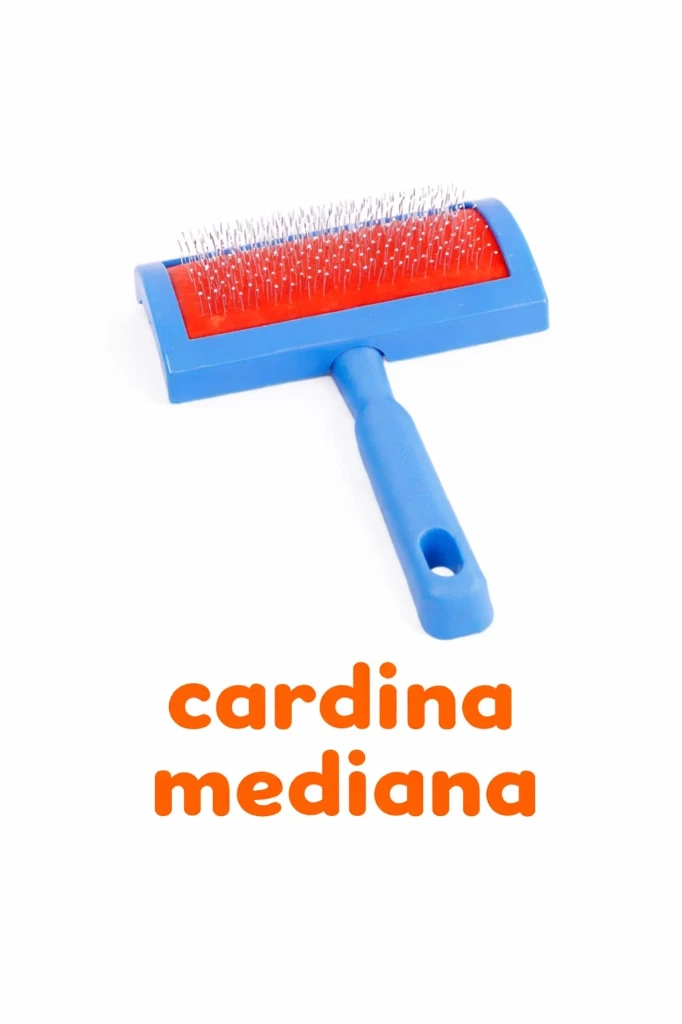 CARDINA DE PLASTICO MEDIANA