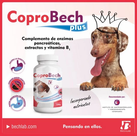 COPROBECH PLUS POTE 100 GRS