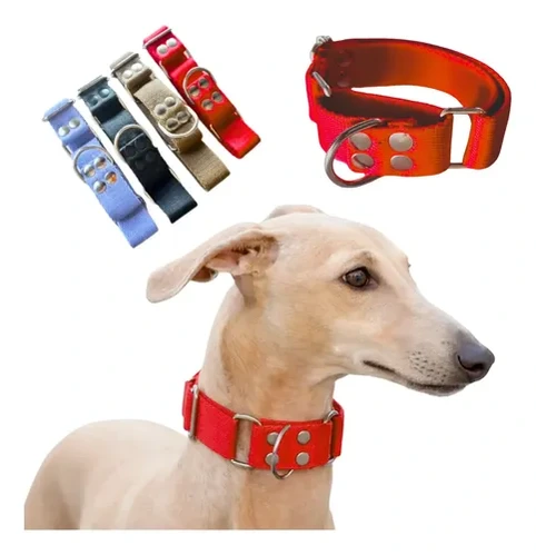 COLLAR SEMIAHORQUE MARTINGALE
