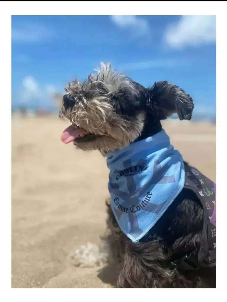 BANDANA FRIO COOLING