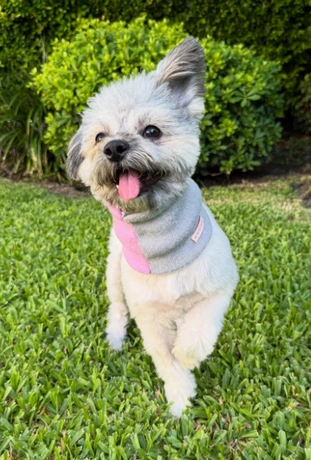 CUELLO ABRIGO RYR TODOS