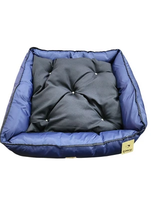 [CORDOBA2] MOISES CORDOBA N2