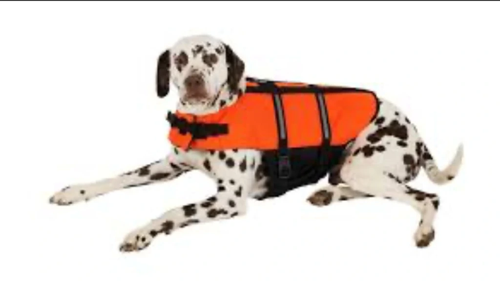 SALVAVIDAS CANINE COUTURE TALLE L