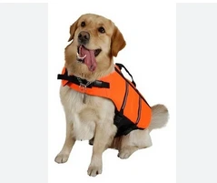 SALVAVIDAS CANINE COUTURE XL